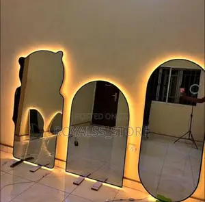 Trendy Full-Length Wall Accent Artistic Mirror With Light