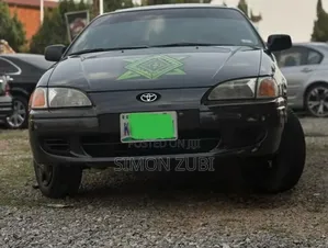 Toyota Paseo 1.5 Coupe 93hp 1999 Gray