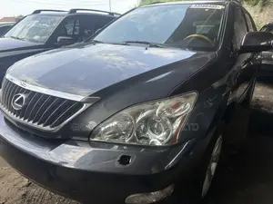 Lexus RX 2008 Gray