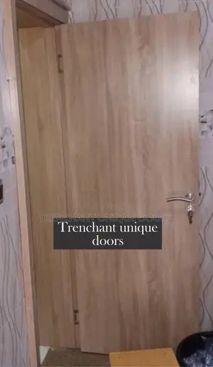 Modern HDF Door