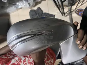 Rx 350 Side Mirror