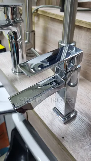Stainless Steel Basin Tap