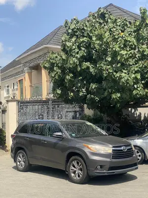 Toyota Highlander XLE 4dr SUV AWD (3.5L 6cyl 6A) 2014 Gray