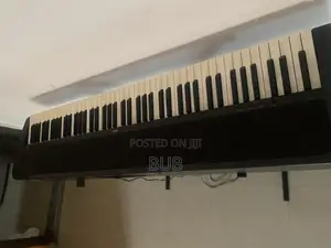 Keyboard /Piano With Stand