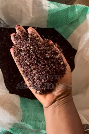 Brown Rice