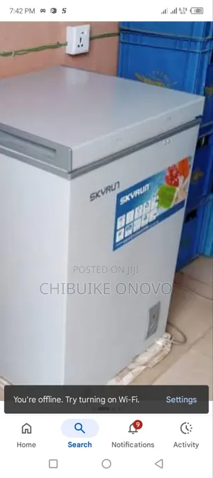 Skyrun 90l Freezer