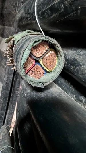 4core Armored Cable Niger Chin