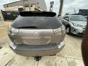 Lexus RX 330 2005 Gray