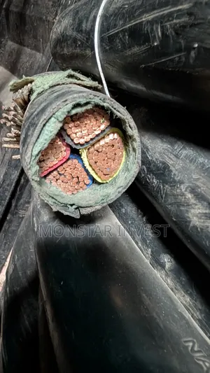 Armored Cable Niger Chin