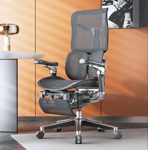 Ergonomic Desk Chair With Adjustable Lumbar,Auto-adjustable Armrests
