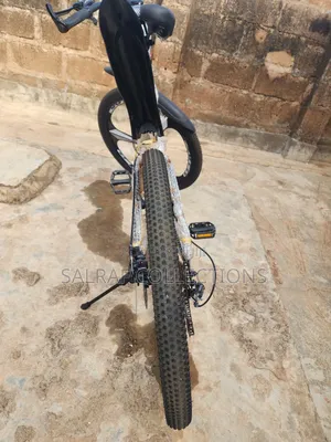 Adult Foldable Alloyed Bicycle
