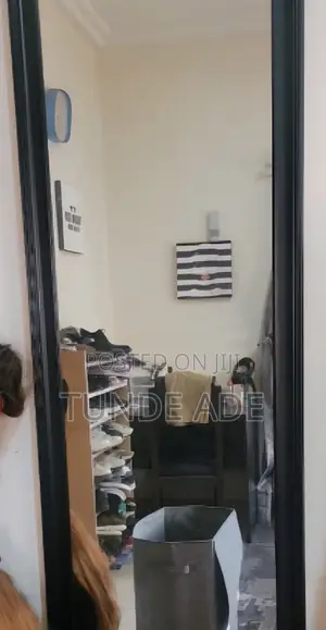 Wall Mirror