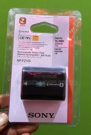 Sony Battery Fz100