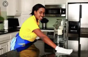 Get Vetted Reliable Domestic Staff in Lagos – No Stress
