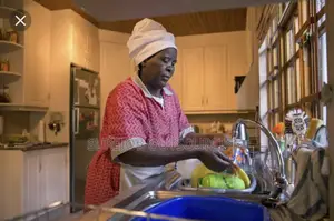 Professional Domestic Workers for Homes Estates (Lekki, Ikoyi, Ikeja