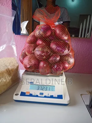 Food Net Bags Mesh Supermarket Packs Fruits Potatoes Onions Agbalumo