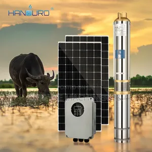 Solar Submersible Pump