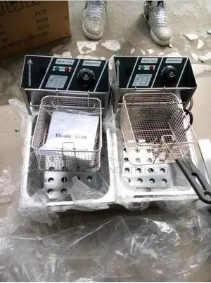 Electric Fryer