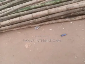 Ever Ready Bamboo