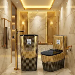 Special Gold and Black Master Toilet Seat With Standing Basin