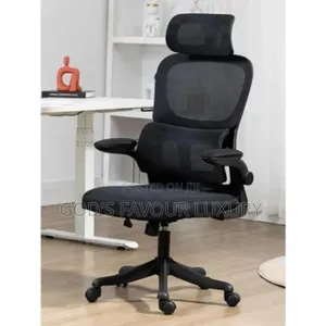 Ergonomic Design Mesh Office Chair With Lumbar Support - Black