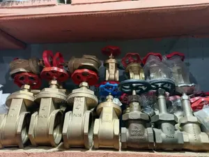 Brass Threaded Gate Valve