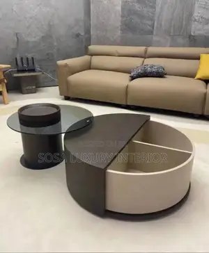 Modern Two-Tone Curved Center Table With Storage