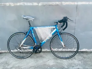 Reid Adult Sport Bicycle