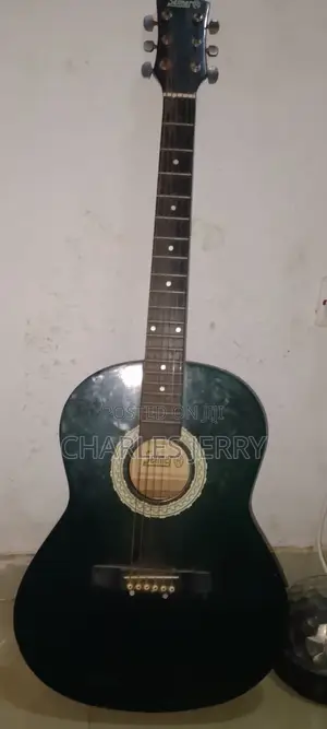 Acoustic Guitar