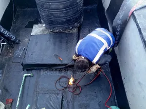 Charismatic Roof Waterproofing Expert