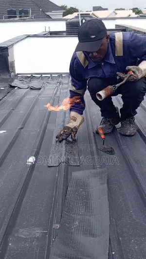 Modest Roof Waterproofing Expert