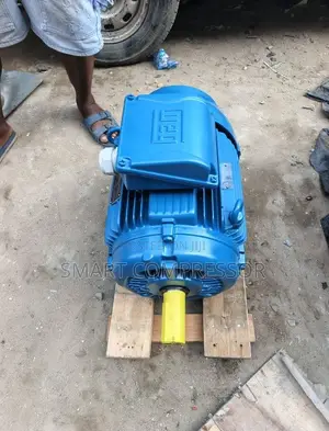 Electric Motor Weg 15kw
