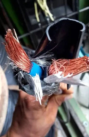 10mm 2core Flexible Cable Original Cooper