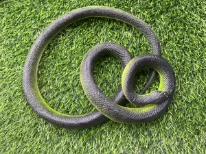 Realistic Soft Rubber Snake