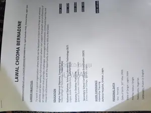 Computing IT CV
