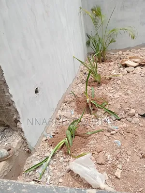 Professional Landscaping Gardening Services in Enugu