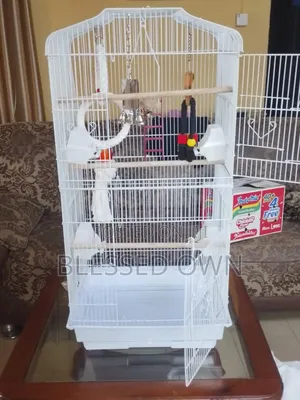High Standard Quality Parrots Bird Cage