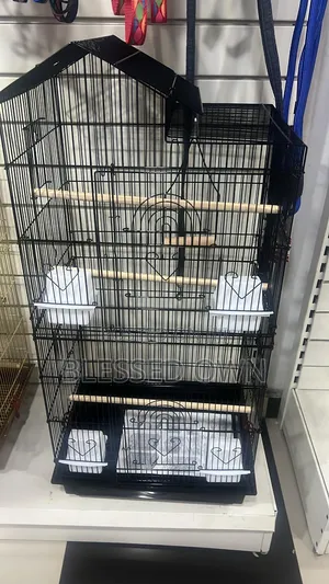 Spacious Birds Cage