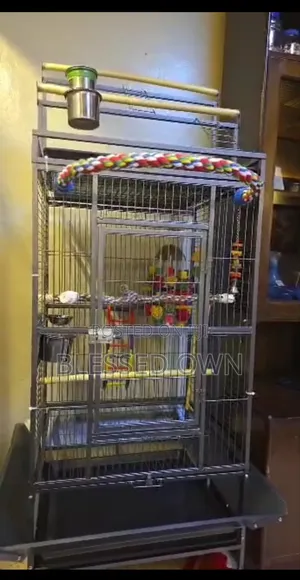 Heavy Duty Big Parrots Cages for Macaw and All Birds