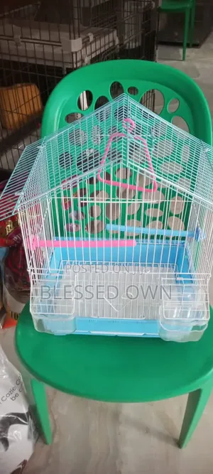 Fancy Strong Bird Cage