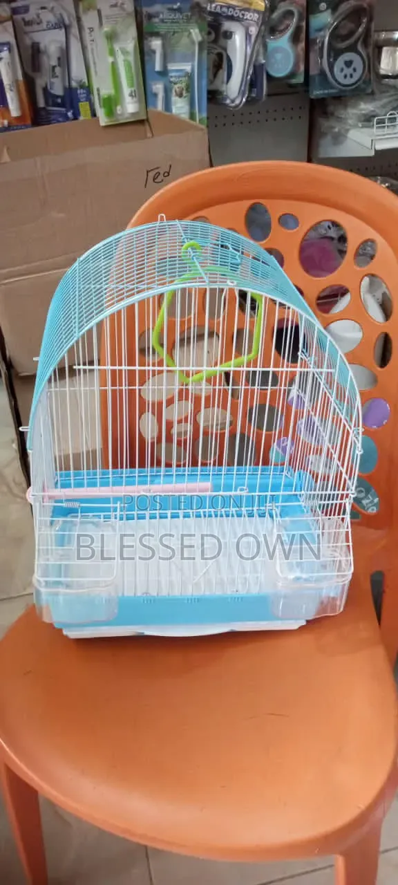 Birds Cage Available