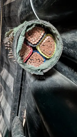 Armored Cable Niger Chin