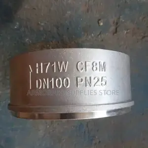 Stainless Steel Wafer Check Valve.