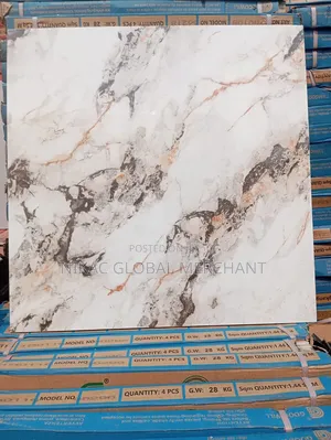 60 X 60 Floor Tiles Made in Nigerian