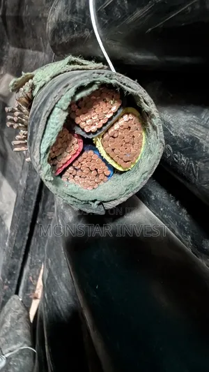 Armored Cable Niger Chin