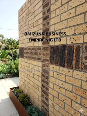 High Quality Original South African Bricks