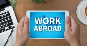 Work in New Zealand