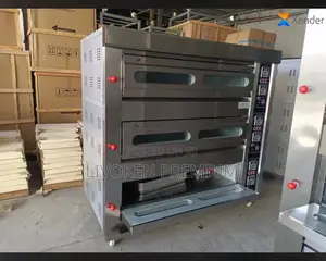 Electric Gas Oven