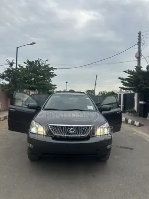 Lexus RX 2007 Gray