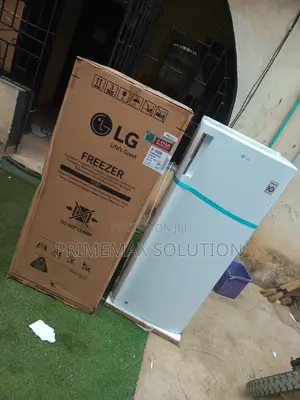 Lg Standing Freezer - Smart Inverter Compressor 10-Year Warranty